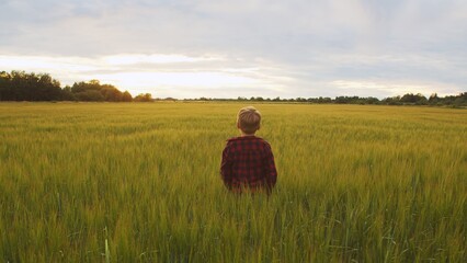 Boy in front of a sunset agricultural landscape. Kid in a countryside field. Childhood, country...