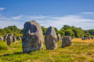 the famous historic menhirs at carnac at sunlight an UNESCO World Heritage
