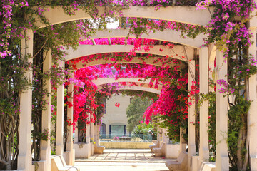 flowered kiosk in de gaulle square in ajaccio, Corsica