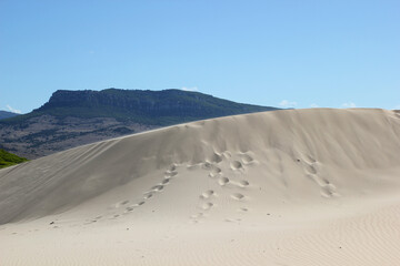 Fototapeta na wymiar footprints on the dune