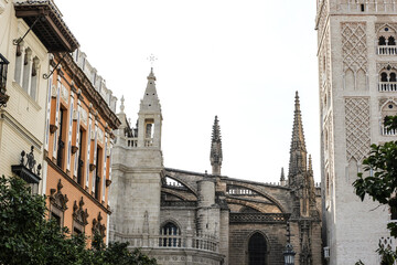 Fototapeta na wymiar flying buttresses of the seville cathedral