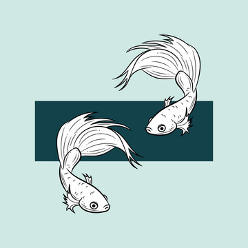 Betta Fish clip art preview