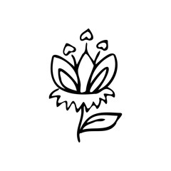 Flower one doodle contour silhouette dark line, no colors, isolated, element design.