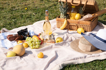 picnic blanket on a green lawn and a basket of fruit, cheese on a plate, retro