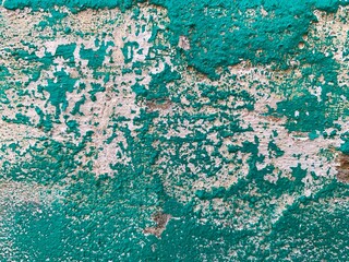 Concrete rough wall with plants  texture background 