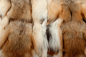 Fox fur close up. Redhead animal fur background, fur pile texture.