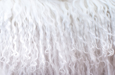 White animal fur. Weasel or cat hair. Fur clothes, white fur coat close up.