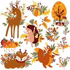 Autumn set,cute wodland animals and elements autumn, cute squirrel,a dancing hedgehog, funny cloud, colored trees, autumn leaves, mushrooms.Perfect for web, harvest festival, banner, and Thanksgiving