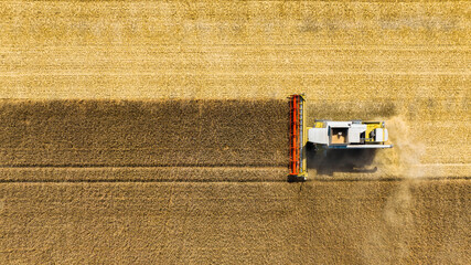 Agriculture. View from the air. Harvester collects on the field of ripe wheat. Industry. Production...