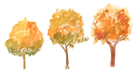 Vector hand drawn autumn tree watercolor illustration on white background.