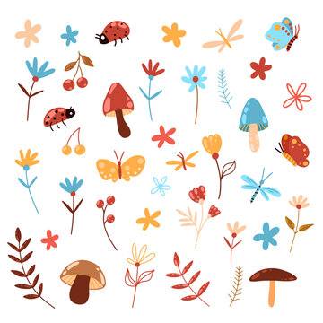 Vector set of a colorful images of mushrooms, butterflys, ladybugs, flowers and berries.