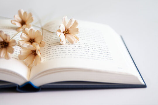 Dry flowers lying on an open book