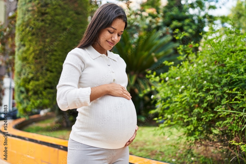 Wall mural Young latin woman pregnant smiling confident touching belly at park