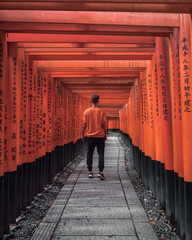 a tourist walking through the famous torii gates of the Fushimi Inari Shrine in Kyoto, Japan - obrazy, fototapety, plakaty