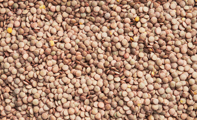 Beautiful lentils image
