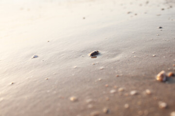 footsteps on the beach