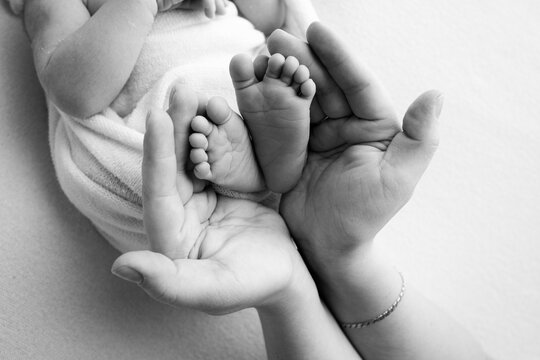 Parents' palms. Father and mother hold the legs of a newborn baby. Feet of a newborn in the hands of parents. Photo of the foot, heels and toes. Black and white studio macro shot.