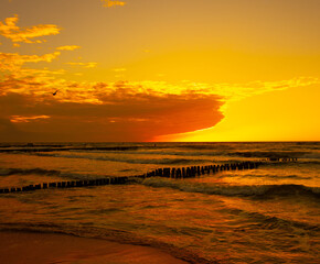 Naklejka premium coast of the baltic sea with wooden breakwaters at sunset