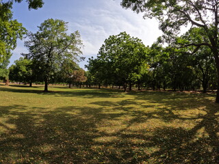 Beautiful Green Garden nature place