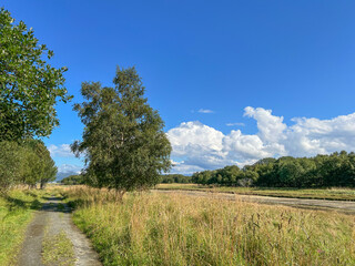 Out in the countryside in Brønnøy municipality, Helgeland, Nordland, Norway, scandinavia, Europe