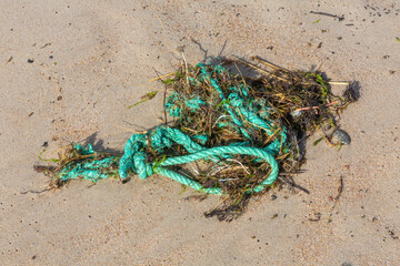 Alien Object on the Beach 28
