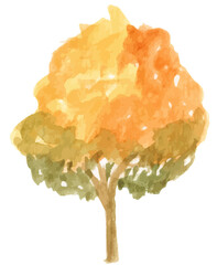 Autumn tree watercolor illustration on white background.