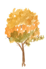 Autumn tree watercolor illustration on white background.
