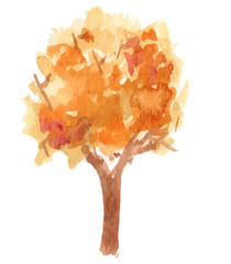 Autumn tree watercolor illustration on white background.