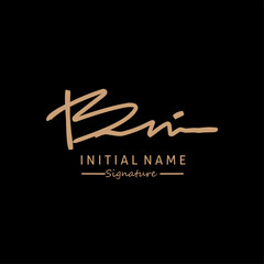 BN Initial letter handwriting and signature logo