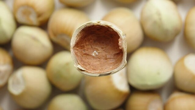 The split hazelnut is spinning and I pull it out of the husk, close-up.