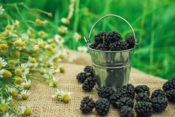 black mulberry in a metal bucket with chamomile flowers on a brown burlap cloth