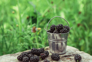 Fototapeta na wymiar black mulberry in a metal bucket on a gray wooden table