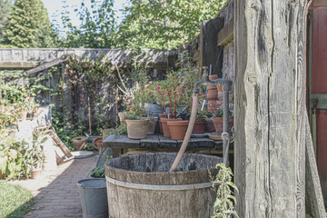 The beautiful old Danish greenhouse