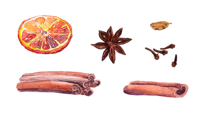 Collection of Christmas spices (cinnamon, cloves, vanilla, anise, citrus fruit). Watercolor winter spicy set - 524858968