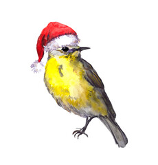 Bird in red santa hat. Christmas water colour 