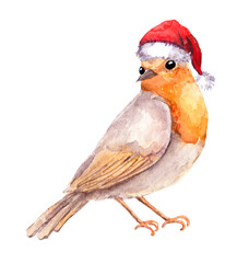 Winter robin bird in red Christmas hat. Watercolor animal for xmas, New Year
