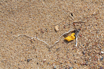 Alien Object on the Beach 36