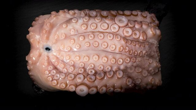 Time lapse process of de freezing A octopus On black grill