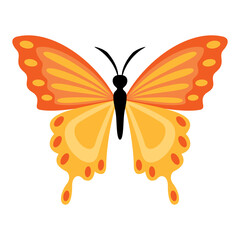 Flat Drawing Of A Butterfly