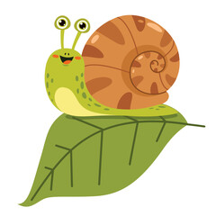 Cartoon Illustration Of A Snail