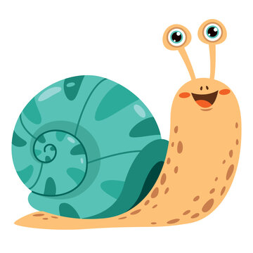 Cartoon Illustration Of A Snail