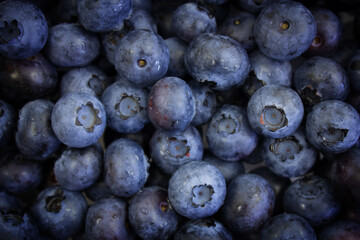 Blueberry background. Summer natural background. Natural antioxidants