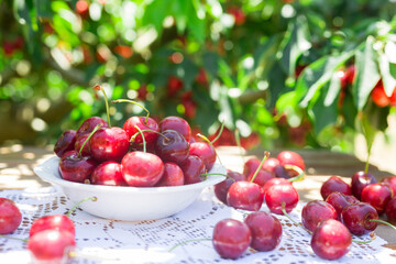 ripe juicy cherry berry in a white plate on the table