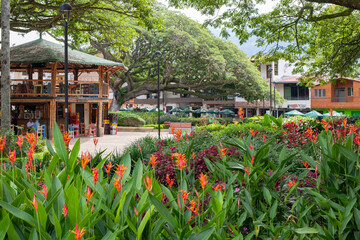 hispania antioquia colombia