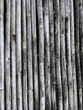 White bamboo fence texture background.