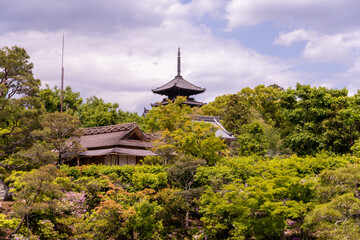 仁和寺 北庭から望む五重塔