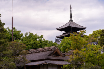 Obraz premium 仁和寺 北庭から望む五重塔