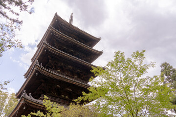 仁和寺 そびえ立つ五重塔