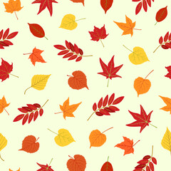 Obraz premium Fall leaves repeat design. Colorful autumn seamless pattern with maple, birch, rowan leaf. For textile print, wrapping paper, wallpaper, etc.