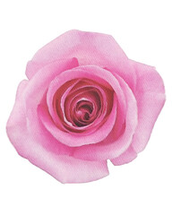 rose watercolor flower,watercolor rose isolated on white decor element png